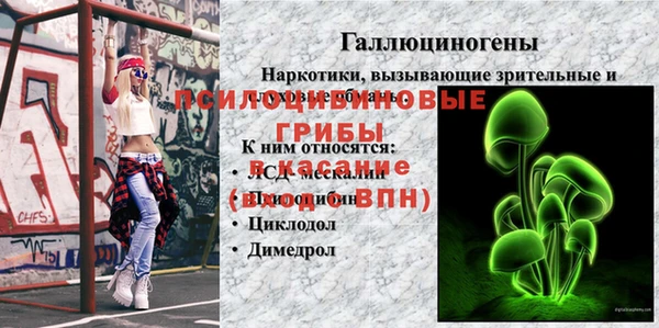 эйфоретик Абинск