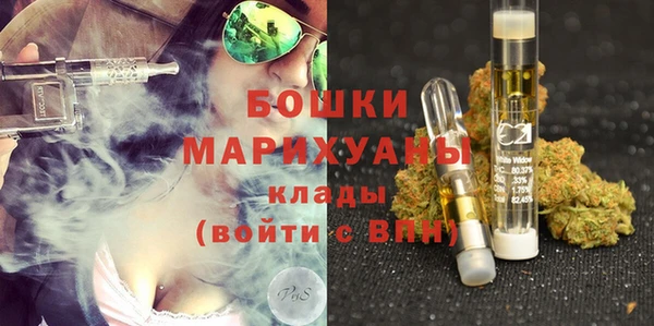 стаф Новокубанск