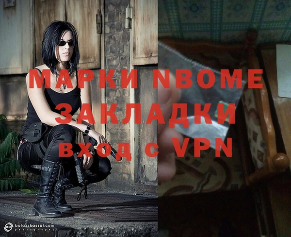 стаф Новокубанск