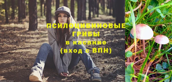 мескалин Новодвинск