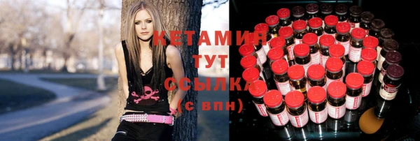 стаф Новокубанск