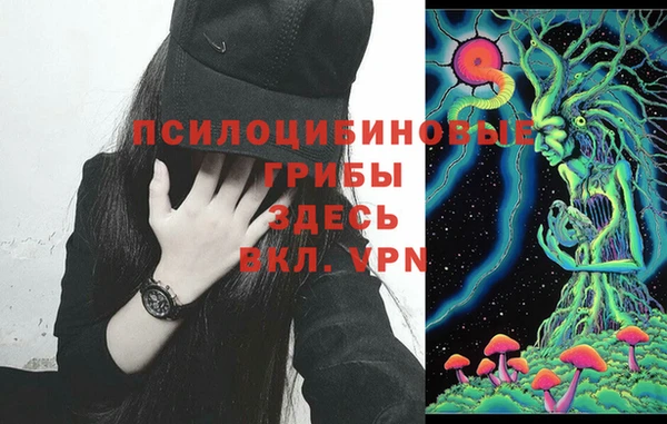 ешки Абаза
