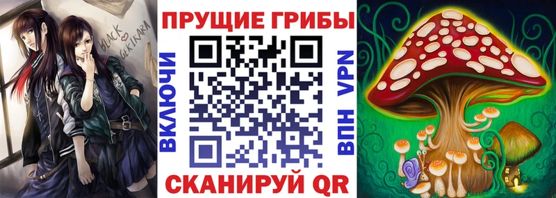 Псилоцибиновые грибы Psilocybe  Дербент 
