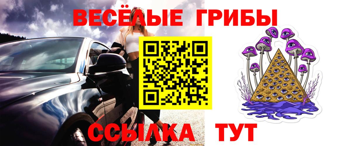 Псилоцибиновые грибы мицелий  Вход с VPN  закладки  Галлюциногенные грибы MAGIC MUSHROOMS  Дербент 